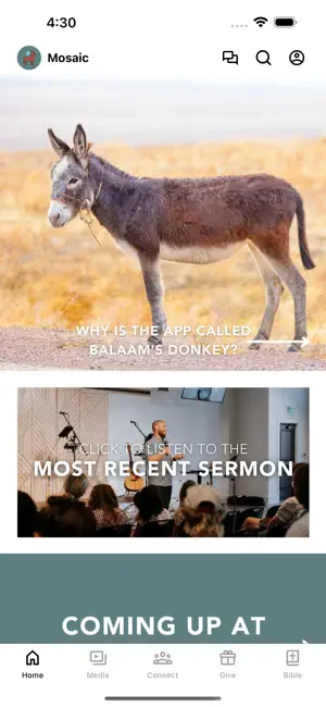 Balaam’s Donkey screenshot 1