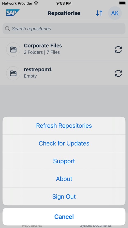 SAP Document Management screenshot-5