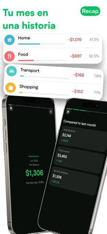 DaySpends: Claridad financiera screenshot