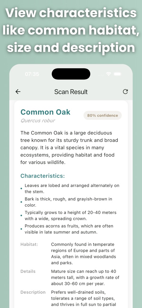 Tree Identifier: AI Scanner - Reference App | MWM