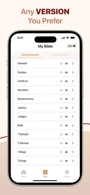 Bible Summary screenshot 3