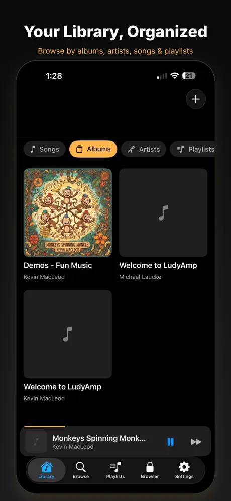 LudyAmp 应用截图