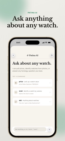 Patina AI - Watch Identifier screenshot
