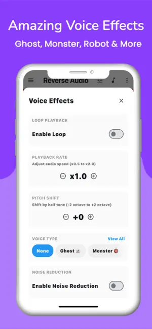 Reverse Audio & Voice Changer screenshot 2