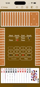 Bridge by NeuralPlay screenshot