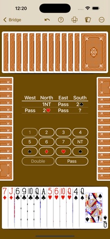 Bridge by NeuralPlay Screenshot 9 of 10