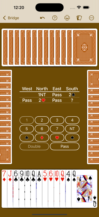 Bridge by NeuralPlay Screenshot 9 of 10