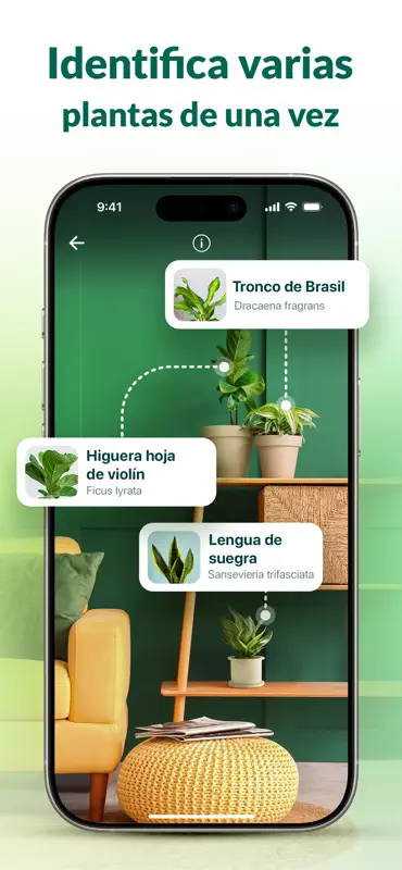 Plantum - Identificar plantas screenshot 4 of 10