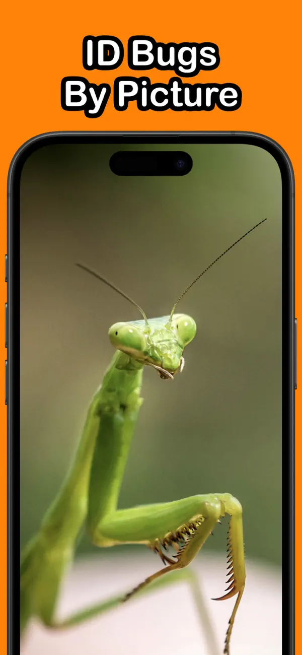 #2. Bug Identifier - BugSnap (iOS) Ved: Andrew Austin