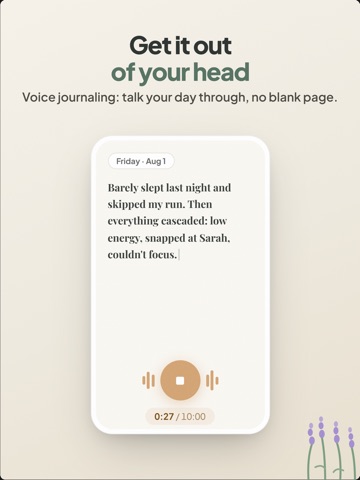 Calmplot: Private AI Journal iPad screenshot