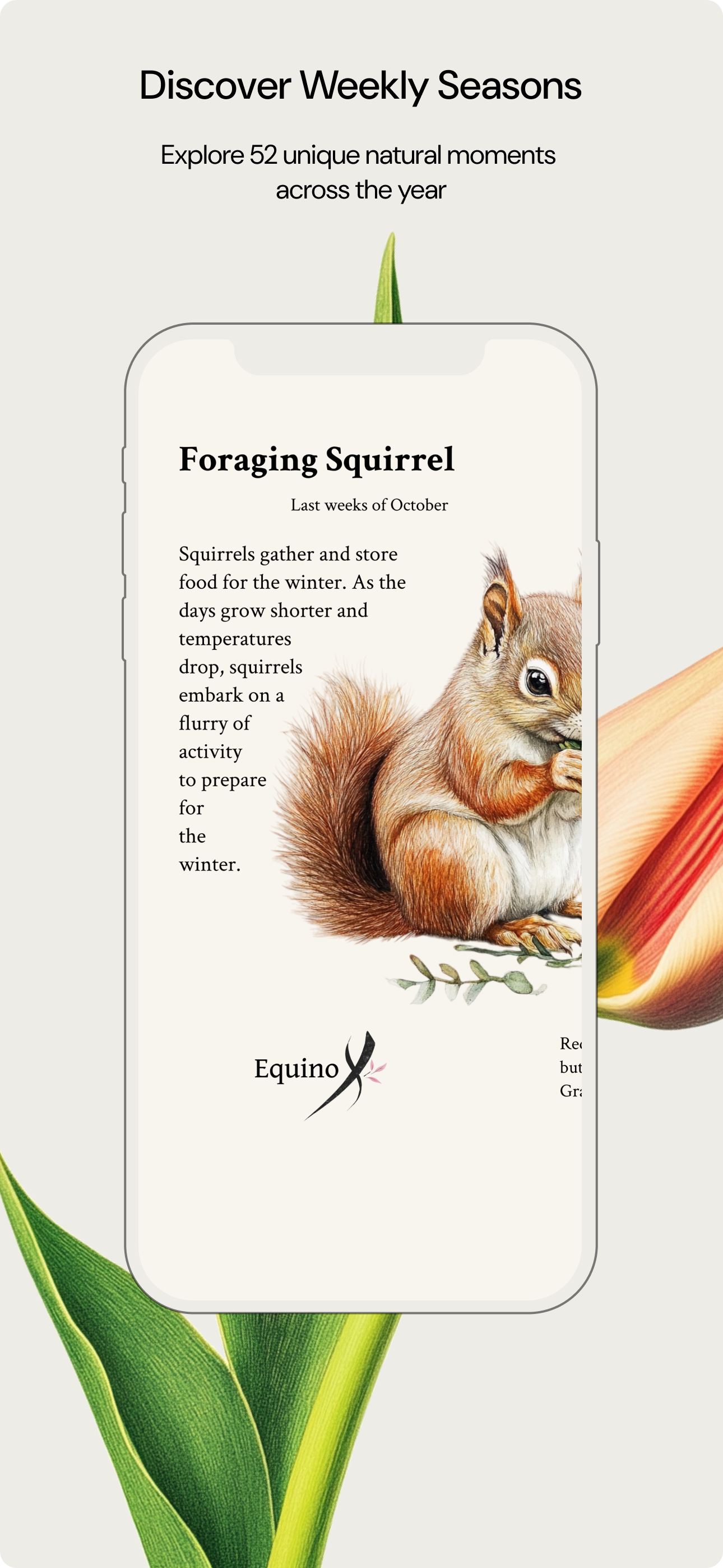 Equinox: 52 Nature Seasons