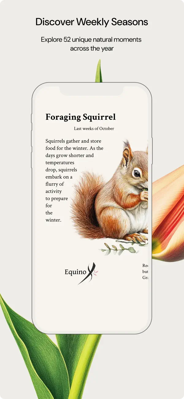 Screenshot #1 pour Equinox: 52 Nature Seasons