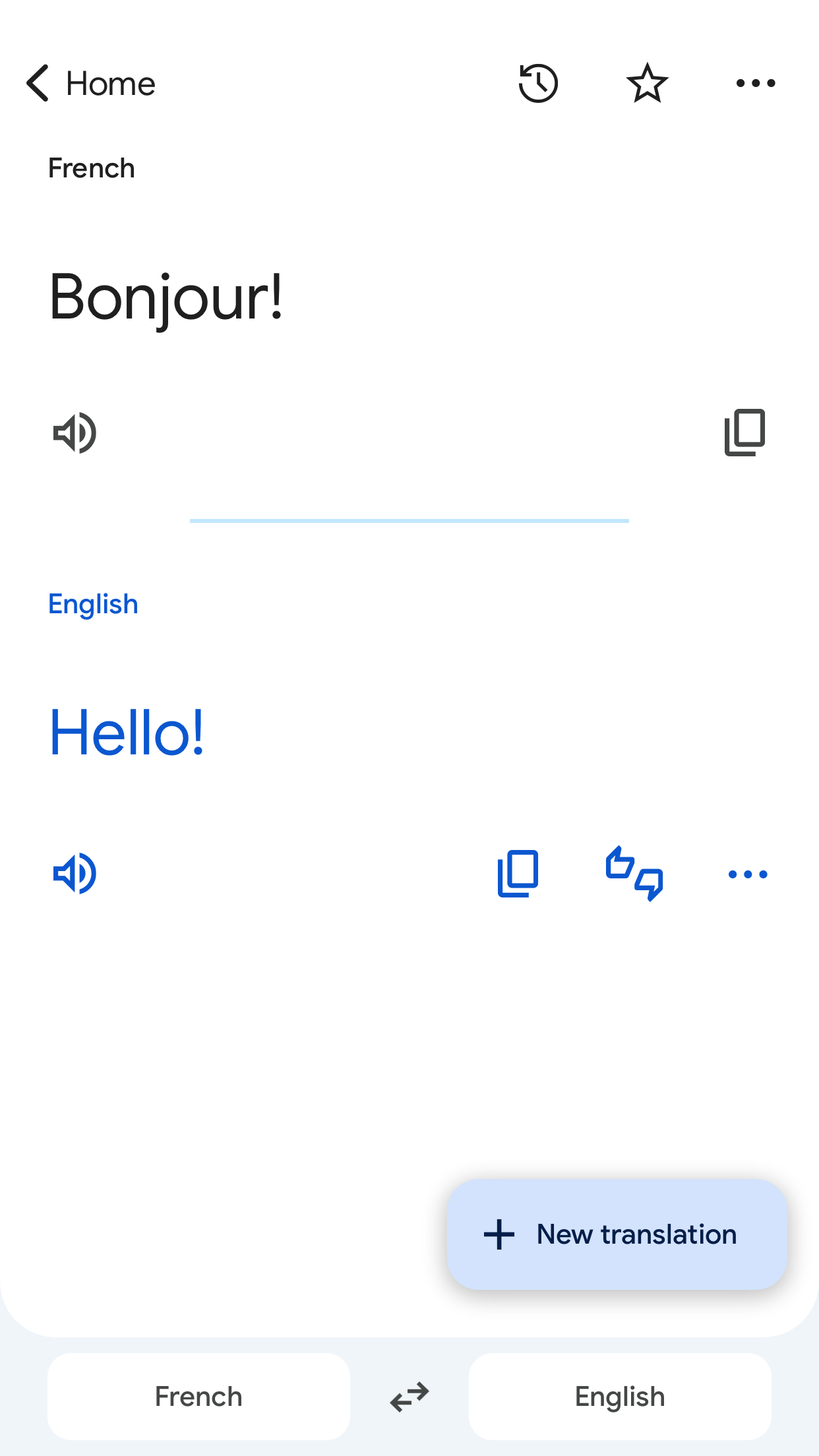 Google Translate screenshot 3