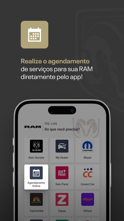 RAM screenshot-5