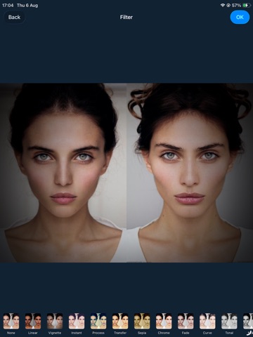 Face Symmetry:nobody's perfect iPad screenshot