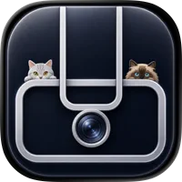 DualFrameCam・双格相机、双摄、镜像相机