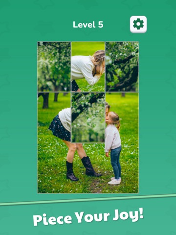 Jigsaw Solitaire Relax Puzzle iPad screenshot
