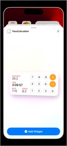 Pace Converter Widget screenshot