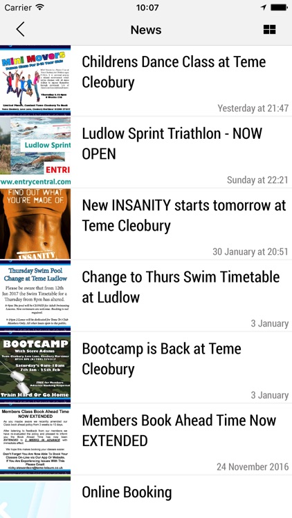 Teme Leisure screenshot-4