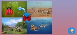 Match It: Animal Quiz Game screenshot 4