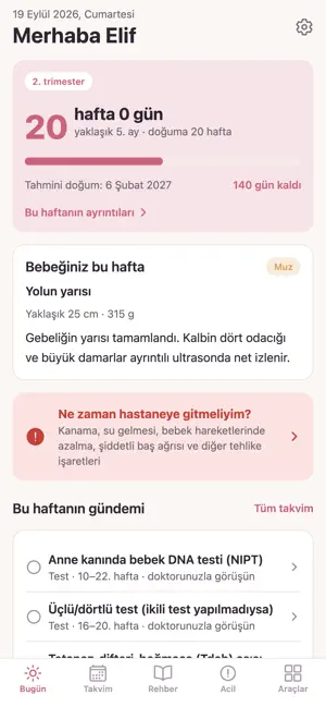 Gebelik Rehberi: Hafta Hafta screenshot 1