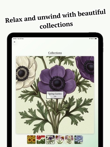 Flower Puzzles: Botany iPad screenshot