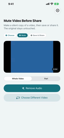 Mute Video Before Share screenshot
