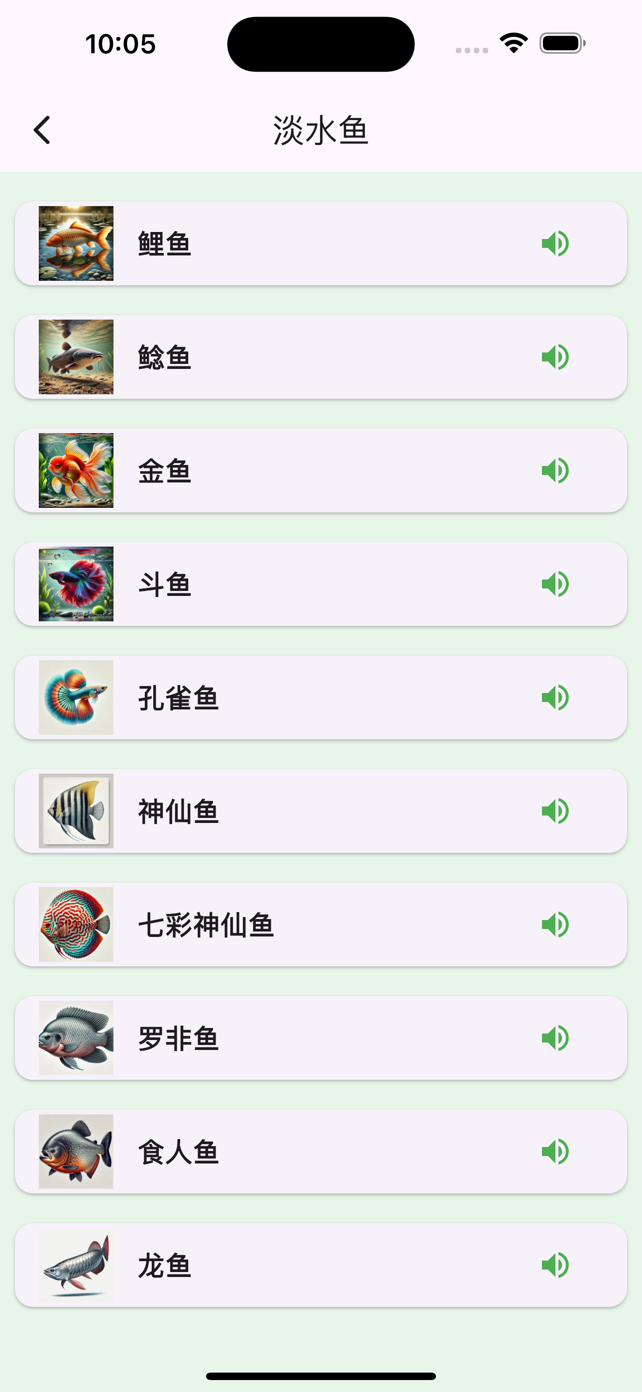 Animals Chinese Learn And Play