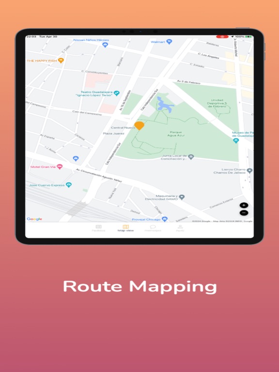DRIVERHUB by FUDHUB iPad screenshot 4 - Navigation app