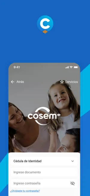 Cosem Online screenshot 2