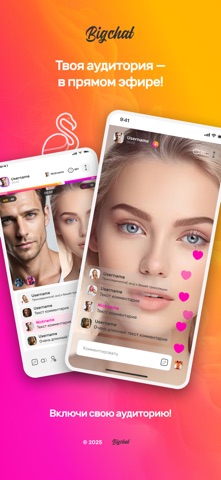 Bigchat: социальная сеть screenshot