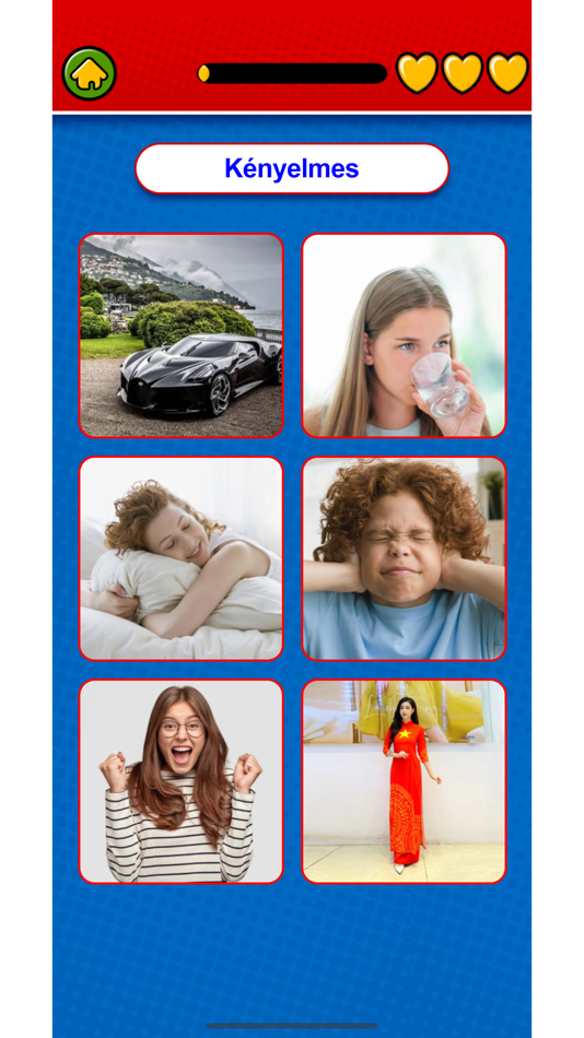 #5. Learn Hungarian Flashcards (iOS) By: Duc Tang Van