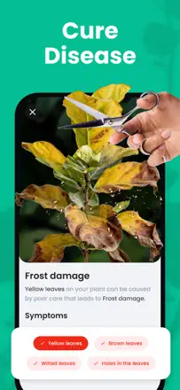 PlantIn : capture d’écran 2 sur 7