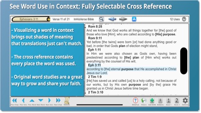 InHisVerse Bible Screenshot