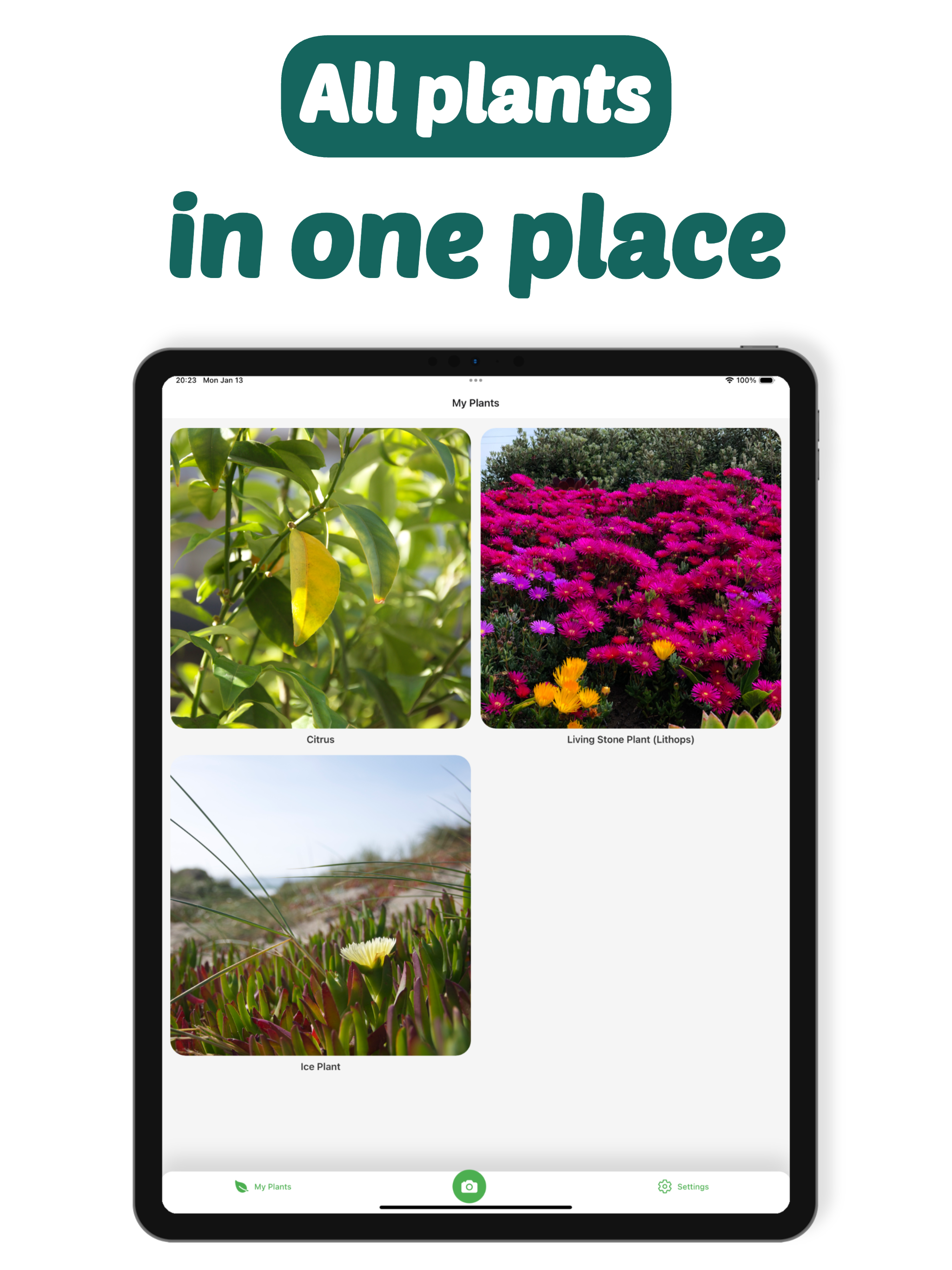 Plant Identifier: PlantCam screenshot 6