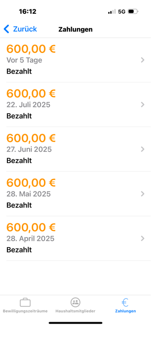 Wohngeld App Screenshot 4 of 8