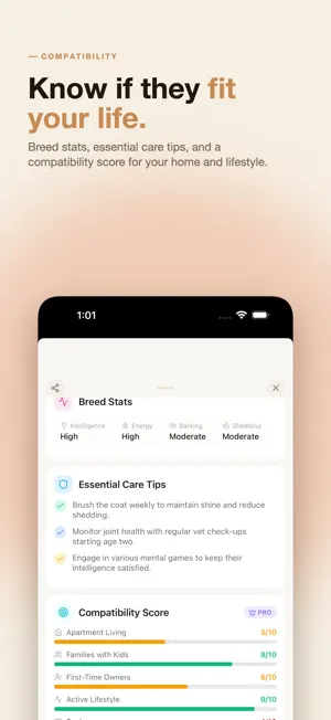 PetReveal AI screenshot 3