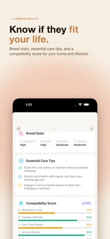 PetReveal AI screenshot