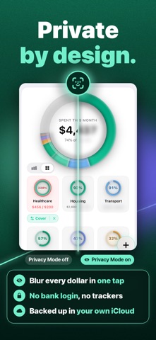 Simple Finance screenshot 2