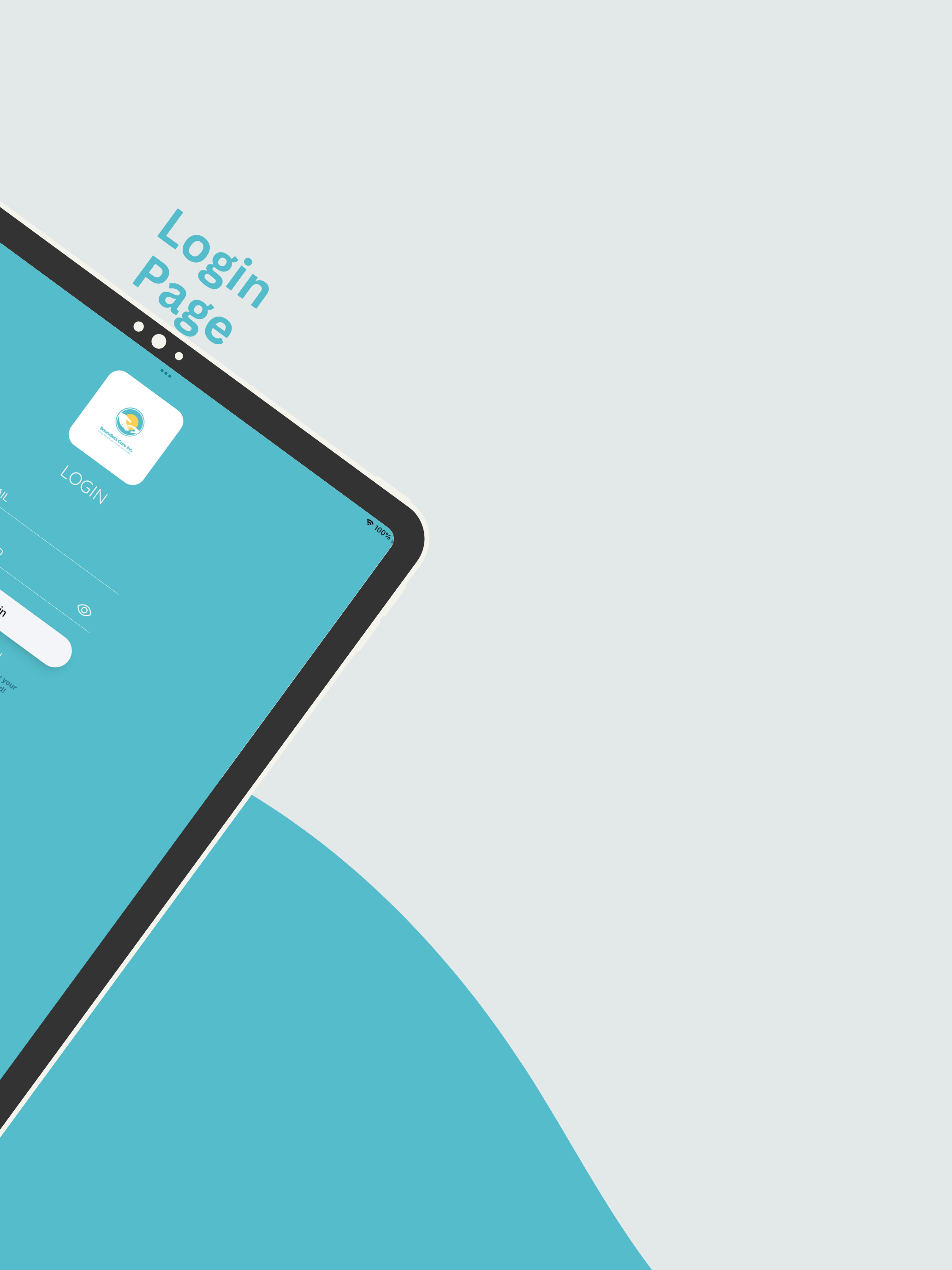 Boundless Care Inc screenshot 7
