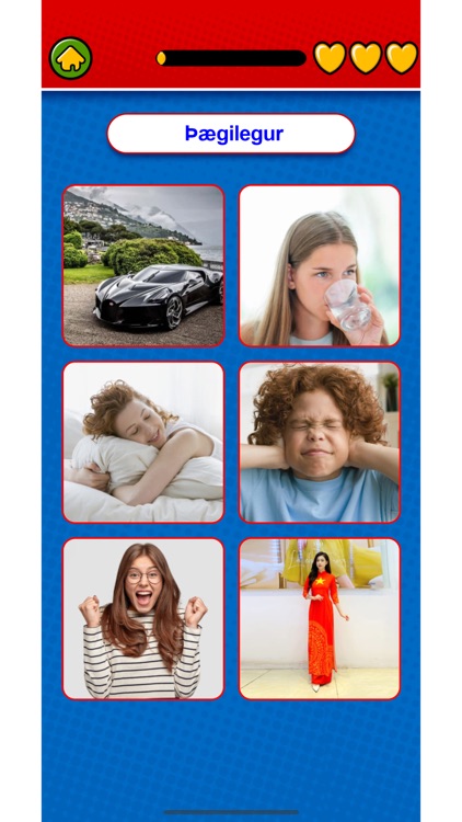 Learn Icelandic Flashcards screenshot-5