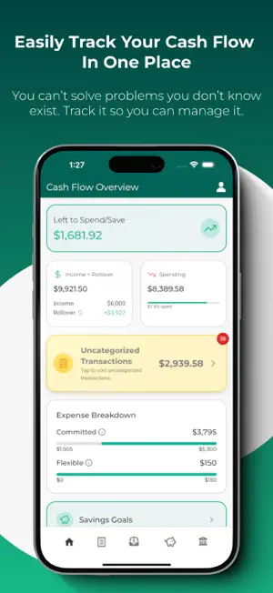 Cash Flow and Capital screenshot 2