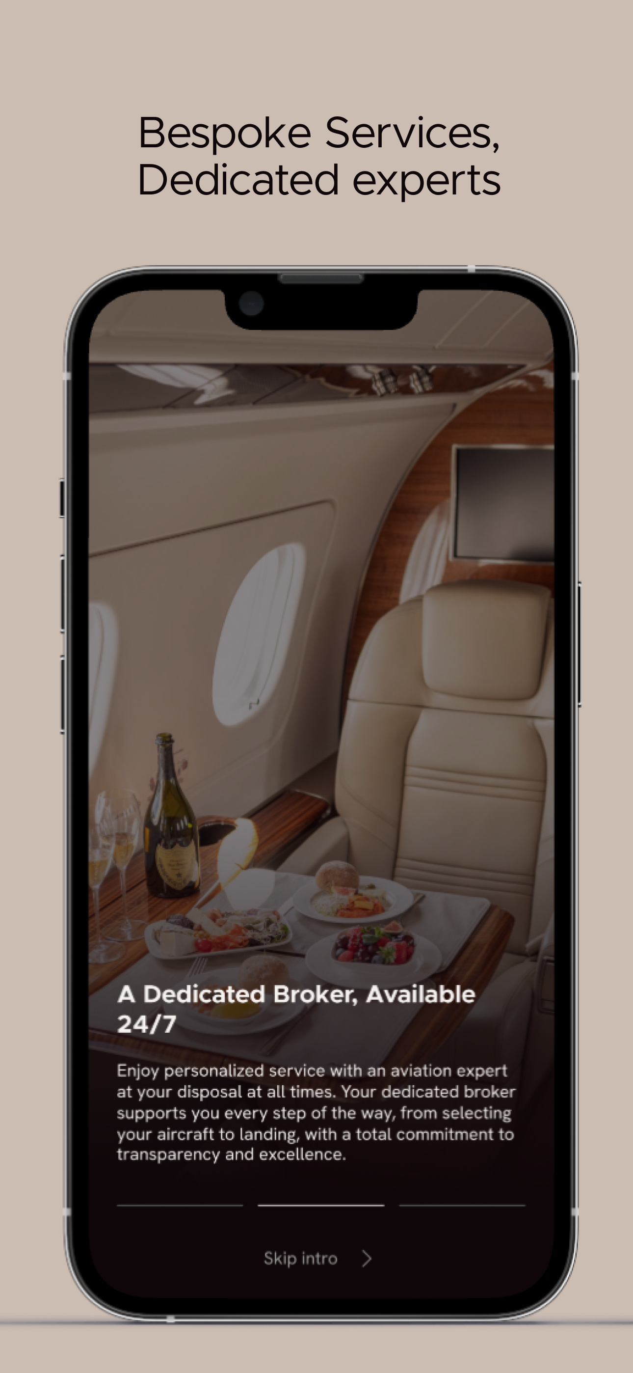 Goodwill Private Aviation