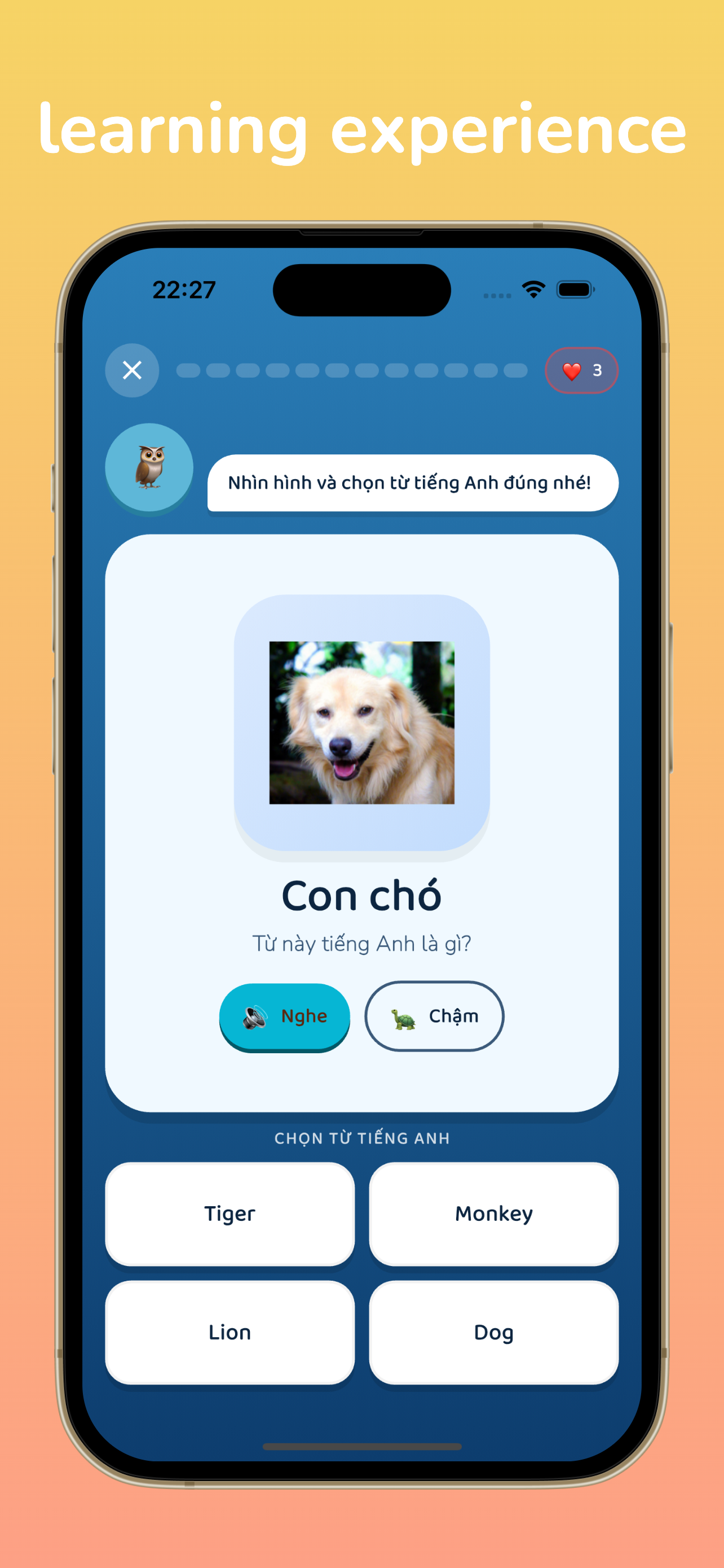 English Vocabulary: Balingo screenshot 4
