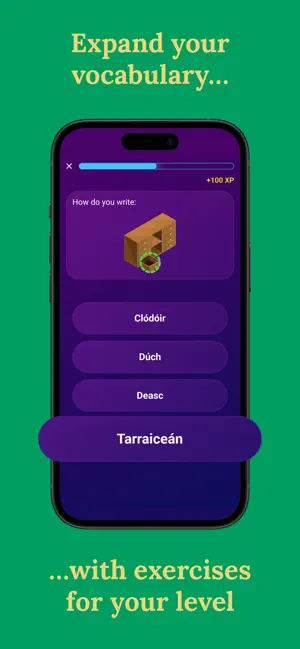 Learn Irish (Beginners) screenshot 4