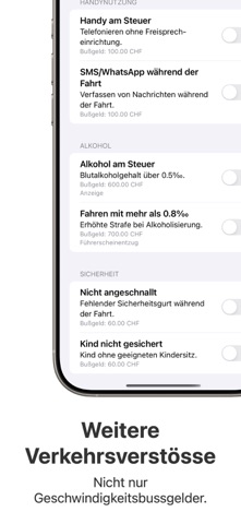 Bussgeld screenshot