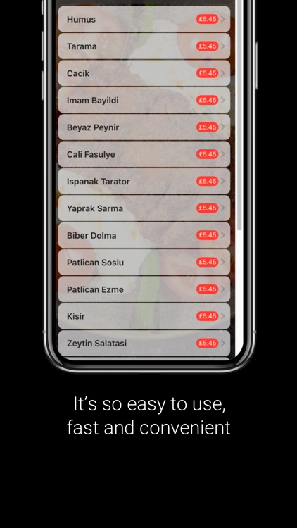 Likya Ocakbasi Restaurant screenshot-3