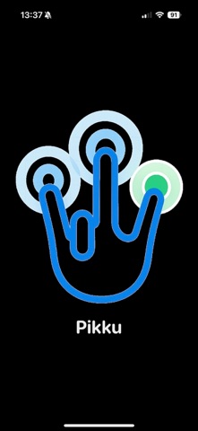 Pikku : Cliquez, c’est choisi screenshot