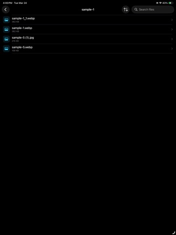 GlassFiles iPad screenshot