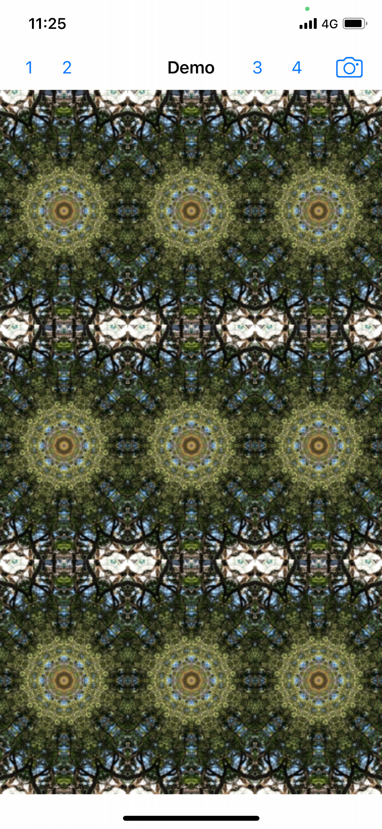 KaleidoScope FilterCam